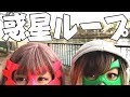 【惑星ループ】不仲のコンビが踊ってみた【まあたそ】【えむれな】【いりぽん】