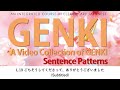 GENKI: Lesson 19 ごちそうしてくださって、ありがとうございました (Subtitled)