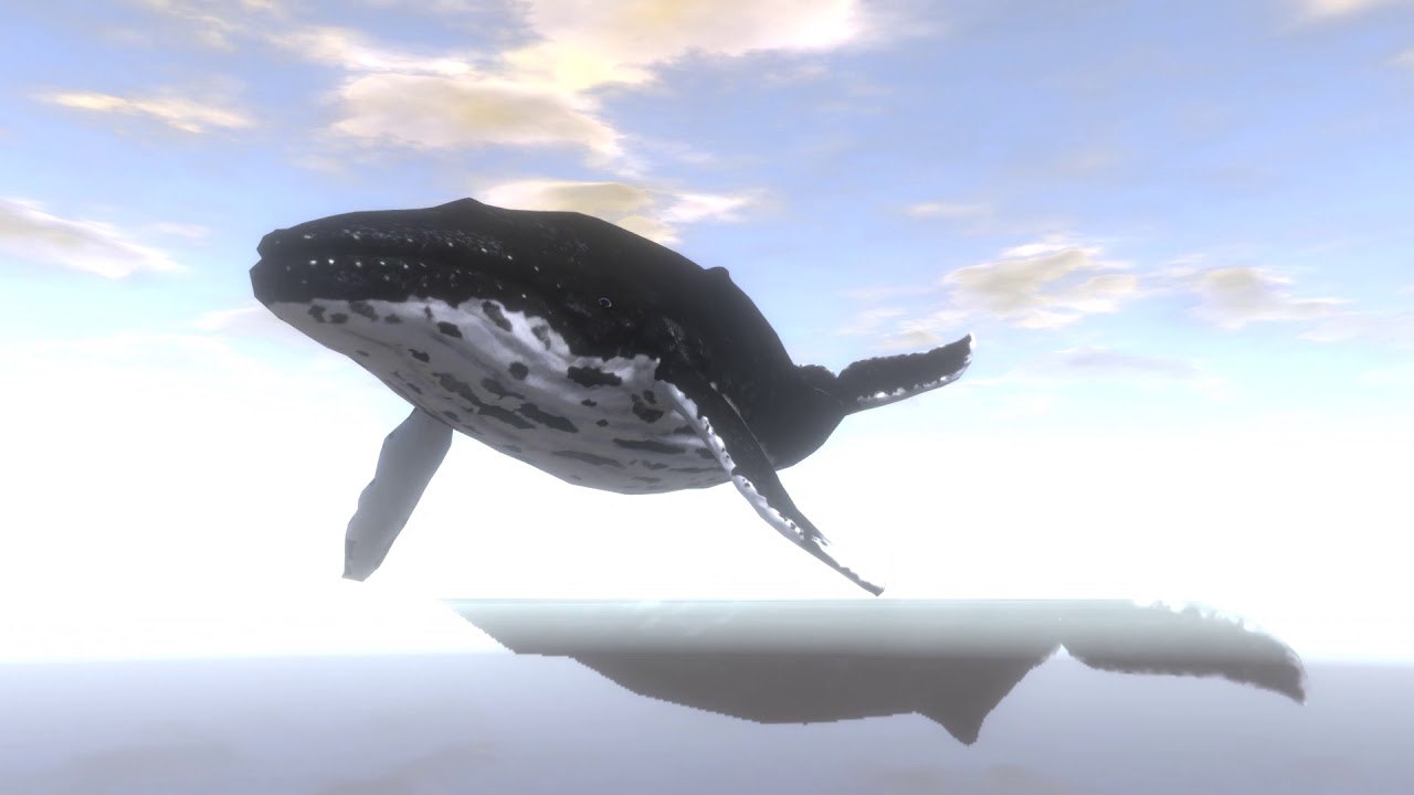 Unity Whale 【Unity】Let's go fishing whales - YouTube