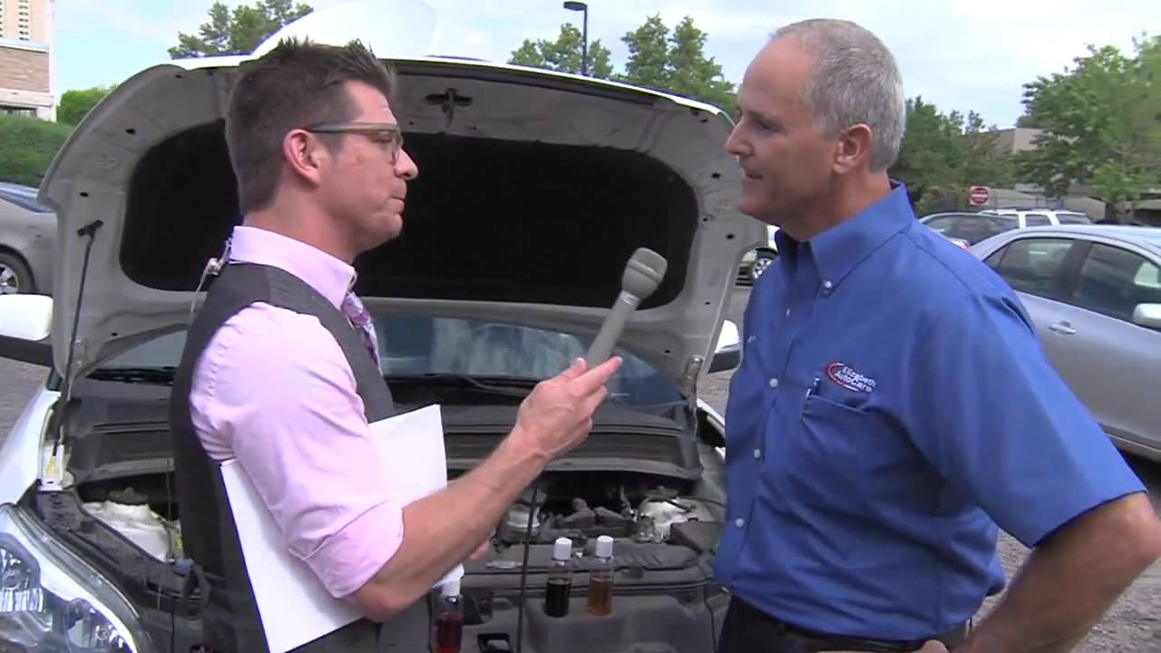 dave-striegel-on-kasa-fox-2-youtube