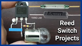 How Does a Reed Switch Works | Magnetic Sensor | Reed Relay