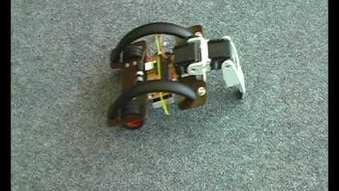 A crawling robot learning a backward walking policy on a desk