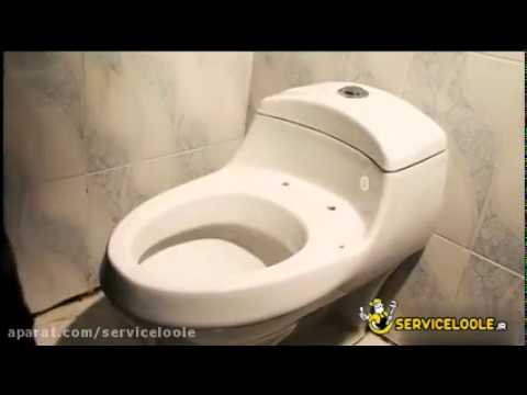 تصویری: چگونه می توان یک توالت فرنگی را آموزش داد