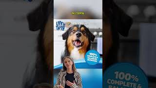 Kibbles N Bits Original Dog Food Review Savory Beef & Chicken Flavors