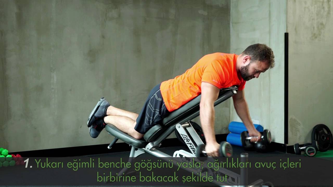 Incline Bench Prone Dumbbell Reverse Fly Youtube