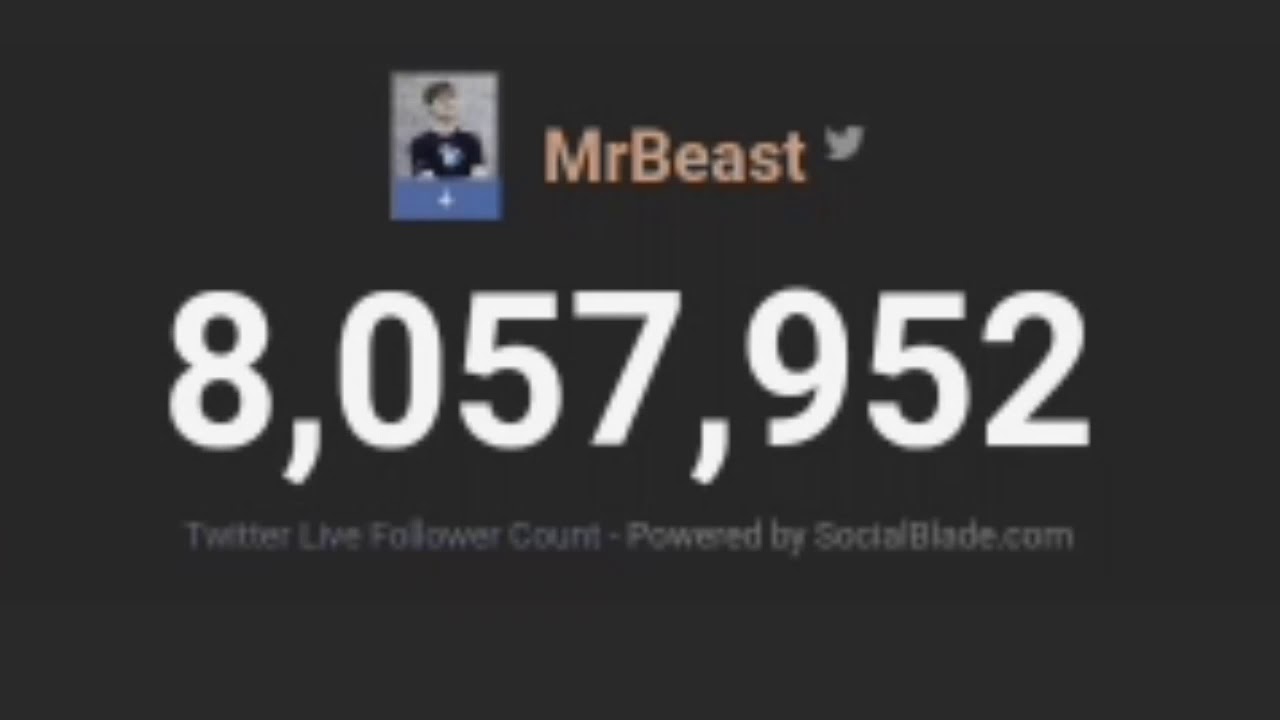 MrBeast Gaining Followers On Twitter | 1 Hour Timelapse