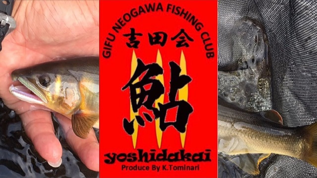令和2年 鮎釣り もう開幕！？