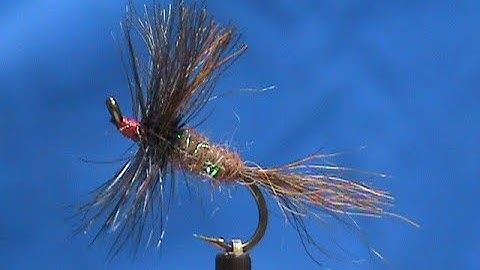 Beginner Fly Tying a Bluegill Wolf with Jim Misiura