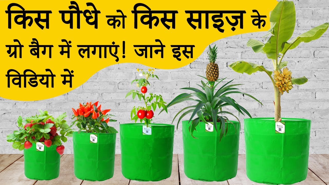 किस पौधे को किस साइज के ग्रो बैग में लगाएं! जाने इस विडियो मे | HDPE Round Grow Bag Vegetables Chart
