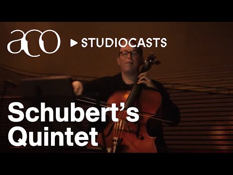 Schubert’s Quintet Trailer Part 2/3 | Richard Tognetti | Australian Chamber Orchestra