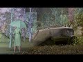 Autumn — timelapse #blender #halflife2 #combine