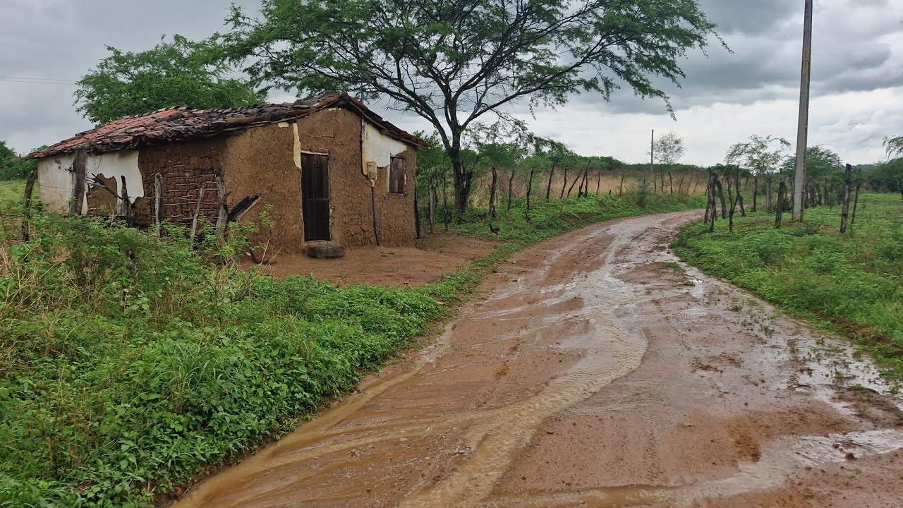 CHUVA NO INTERIOR DE PERNAMBUCO/ TERRA MOLHADA NO SERTÃO E O VERDE PREVALECE