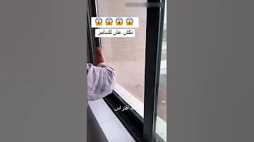 هذا ما يحدث عندما تحاول إزالة عش دبابير حشرات دبابير حيوانات 