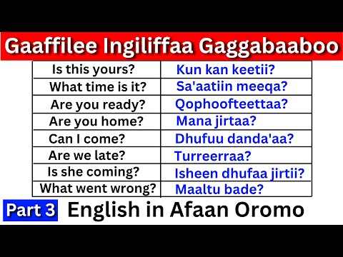 Gaaffilee Ingiliffaa Gaggabaaboo Kutaa 3 English In Afaan Oromo Learn English Hirkoo