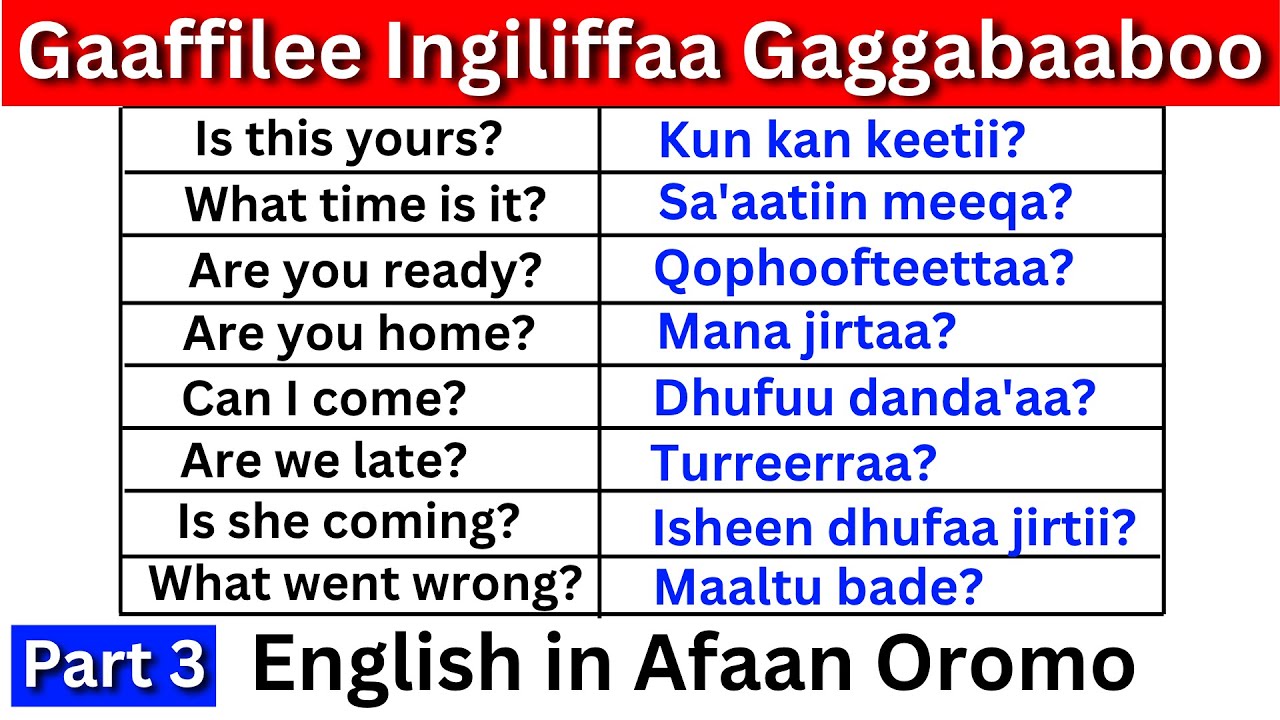 Короткие вопросы по английскому языку, часть 3 (английский на английском) Учите английский #hirkoo