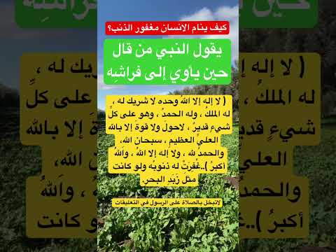 كيف ينام الانسان مغفور الذنب  اكسبلور معلومات  معجزات ماوراءيات علم النفس