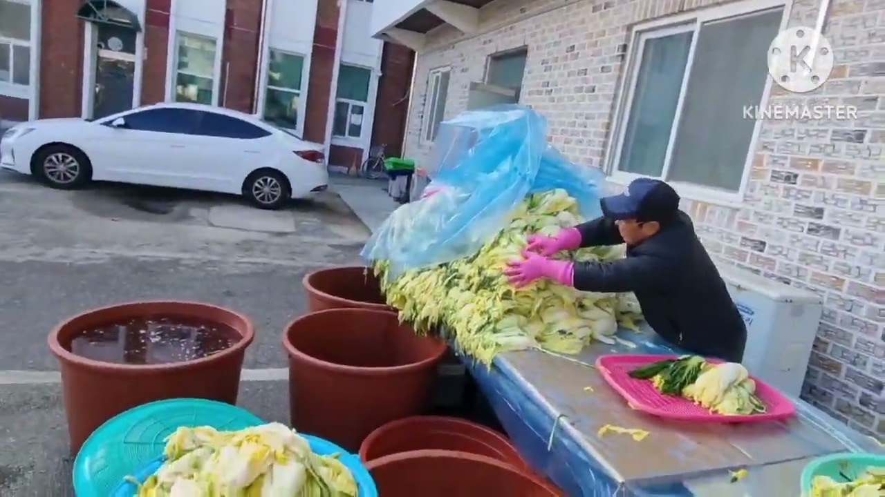 2025년 장계교회 사랑의 김장나눔행사