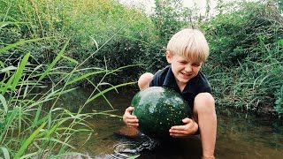 Eating Watermelon - Out Of The Creek!