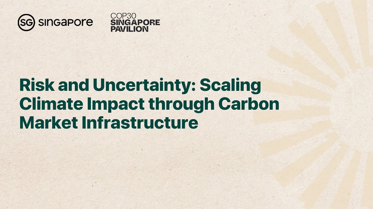 [COP30] Risk and Uncertainty: Scaling Climate Impact through Carbon Market Infrastructure