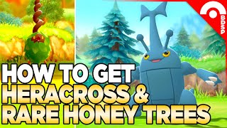 How to Get Heracross \& Other RARE Honey Tree Pokemon | Pokemon Brilliant Diamond