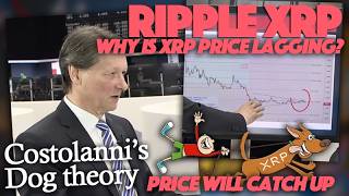 Ripple XRP: XRP Price Will Eventually Catch Up To Fundamentals Says Oliver Michel