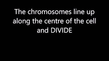 OCR Gateway - Mitosis and Meiosis (B3)