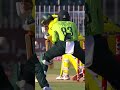 It all worked for Pakistan, Alex Carey Gone #PAKvAUS #BackTheBoysInGreen #TakraarKaTime M9J1H