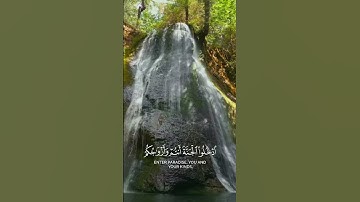 قران #القارئ_فيصل_الهاجري #سورة_الزخرف