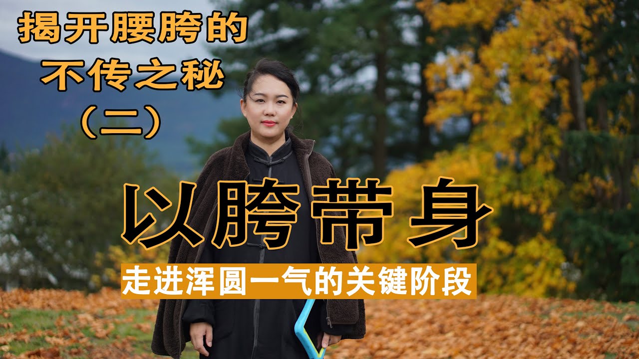 以胯带身是走进浑圆一气 周身整力的关键阶段   胯的松活灵动，可以摆脱一身僵紧，让双腿轻灵有力，让气机沉降，头脑清醒，肩胸背不再僵紧