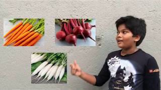 Plant Diversity - Part 2   Grade 7 Science