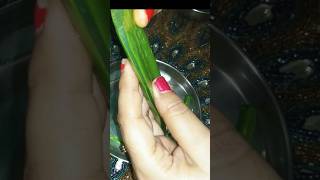 Correct way to extract aloe vera gel in 2 minutes shorts youtubeshorts