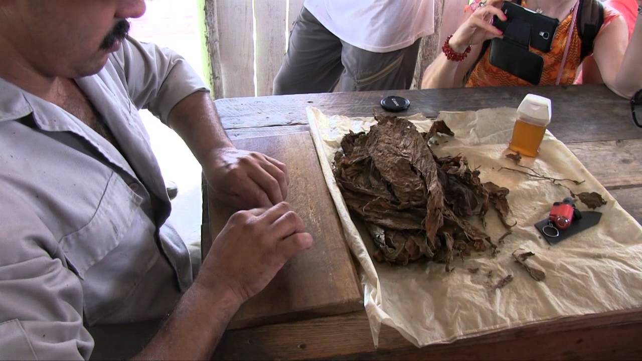 La fabrication artisanale d'un cigare à Cuba