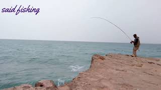 الصيد بتقنية الجر أو spinning علي سمك أوراغ مع ريس سعيد