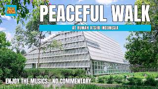 A Peaceful Walk Through Taman Atsiri Karanganyar | Music Only, No Commentary