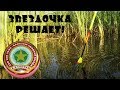 Рыбалка на КАРАСЯ с ПОПЛАВКОМ | ЗВЁЗДОЧКА РЕШАЕТ