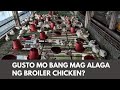 Vlog #21: Broiler Chicken Part 8 | Ano nga ba ang mga gamit na kailangan sa broiler chicken business