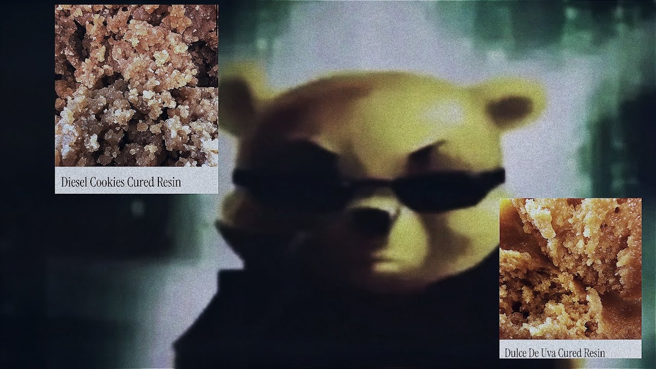 TESORO HEMP CURED RESIN BEAT MY ASS ?!