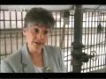 История Алькатраса.