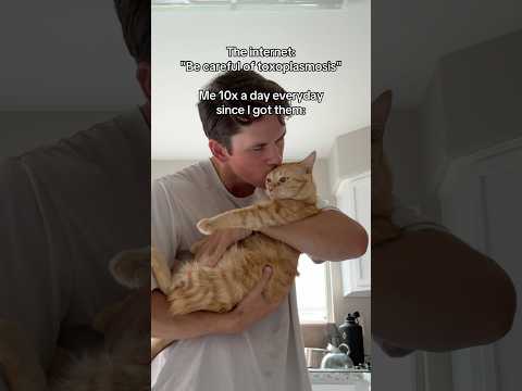 Don’t believe this LIE they tell you about cats!