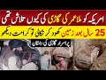 چرا آمریکا به دنبال ماشین ملاعمر بود چرا آمریکا به دنبال ماشین ملاعمر بود