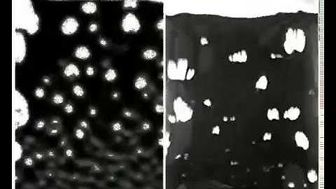 Fluidized Bed Simulation vs Experiment