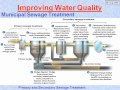 Sewage treatment and purification