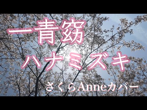 【歌ってみた】一青窈/ハナミズキ　Hanamizuki Hitoto You 【JPOP】
