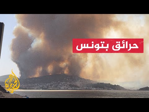 استقبال  150 متضررا من الحرائق بمحافظة جندوبة شمال غربي تونس