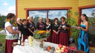 Vaike Luhaste Sünnipäeva Luuletus Triinult, Teine Osa