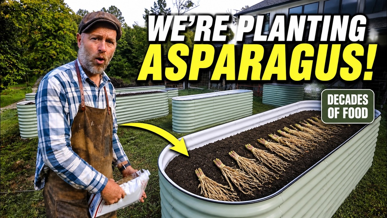 This Is The Last Time We Plant Asparagus