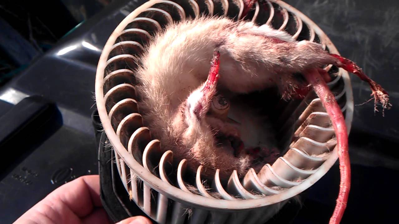 04 Alero Why the blower motor failed YouTube