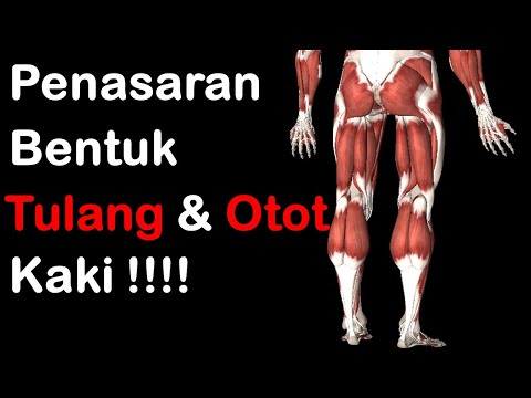 Video: Perbezaan Antara Kaki Dan Kaki