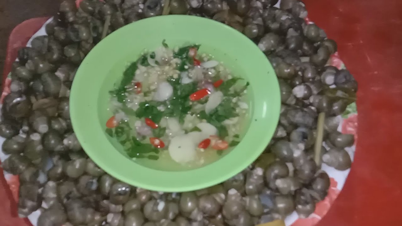 Cooking Snail Recipe Eating delicious Recipe / Village Food Factory
