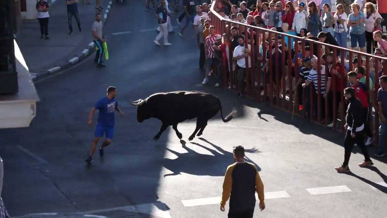 Segundo encierro de las Fiestas de Arganda 2022